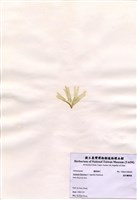 藏品(扇形囊膜藻)的圖片